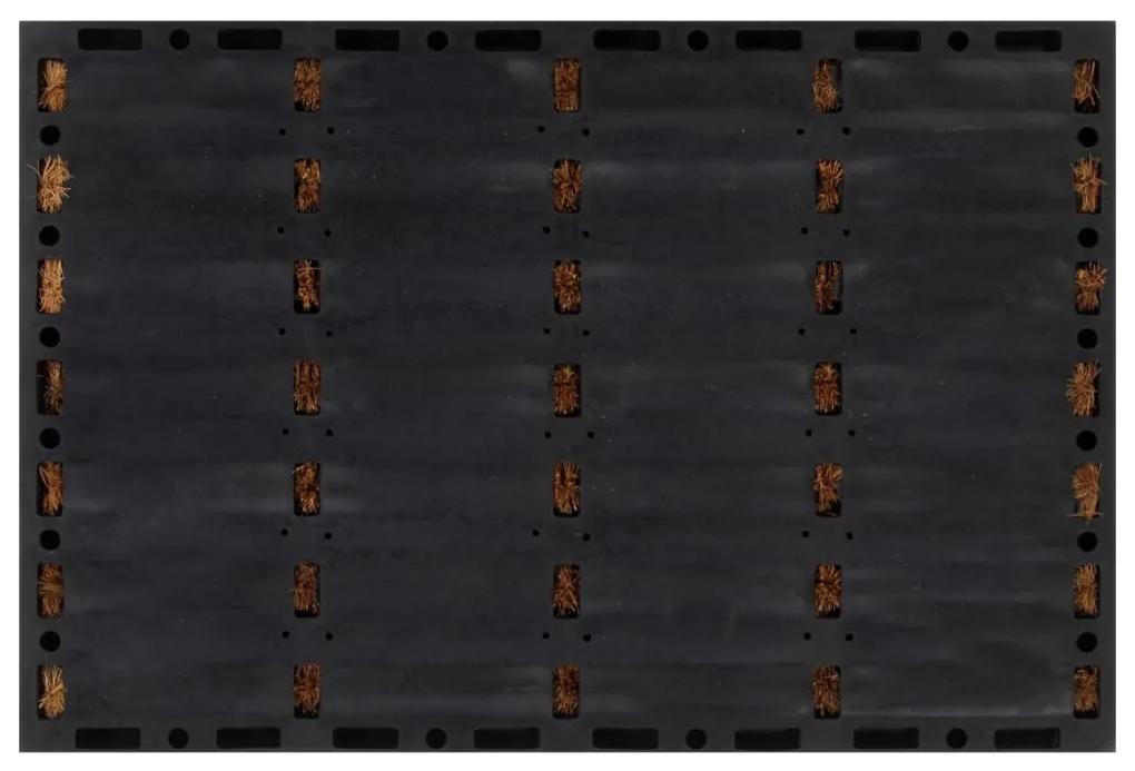 Zerbino Rettangolare 40x60 cm in Gomma e Fibra di Cocco
