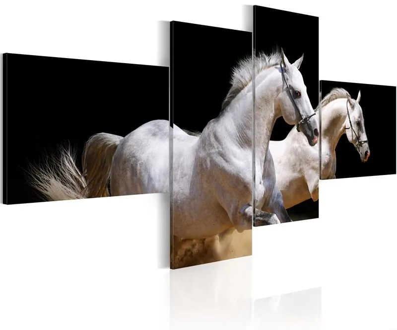 Quadro Mondo degli animali  cavalli bianchi al galoppo  Colore Nero, Dimensioni e Misure 200x90