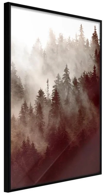 Poster Forest Fog