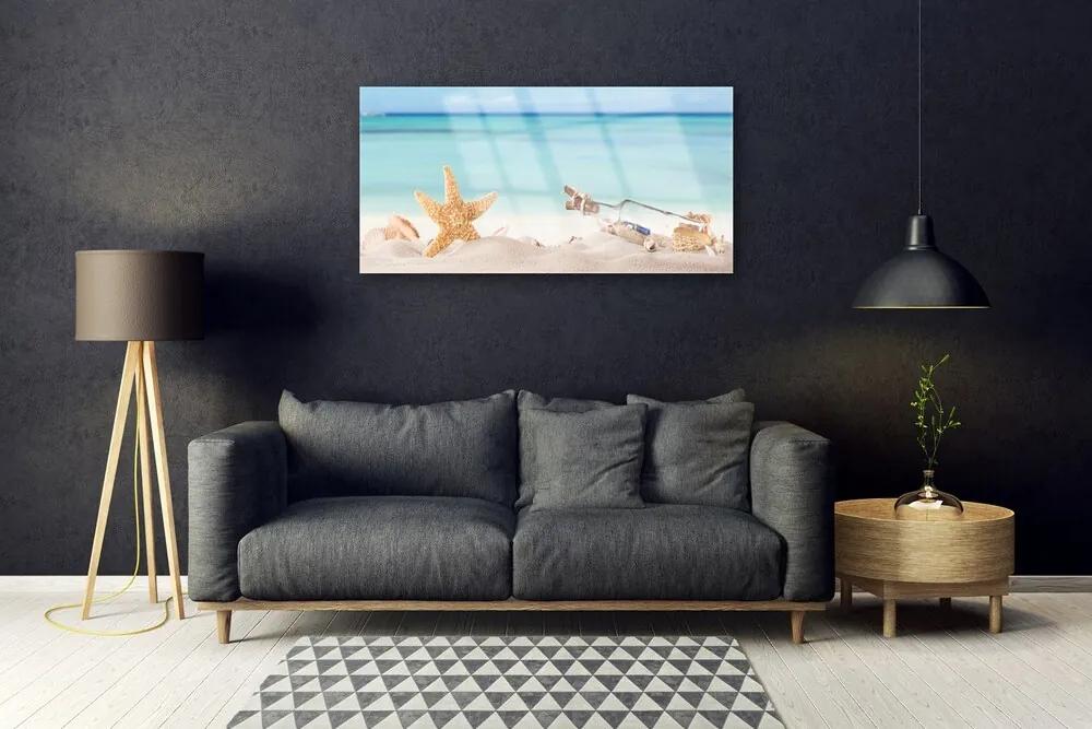 Quadro acrilico Spiaggia di conchiglie di stelle marine 100x50 cm