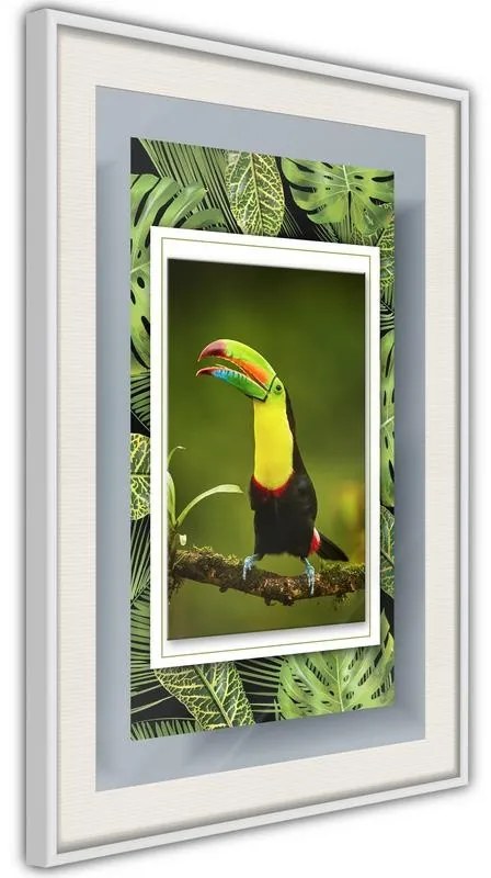 Poster  Toucan in the Frame  Cornice Quadri Cornice d'oro con passe-partout, Larghezza x Altezza Home decor 40x60