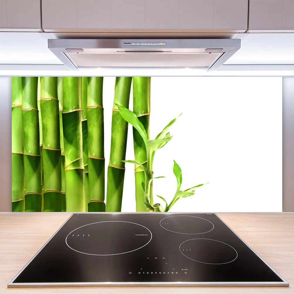 Pannello paraschizzi cucina La pianta di bambù 100x50 cm