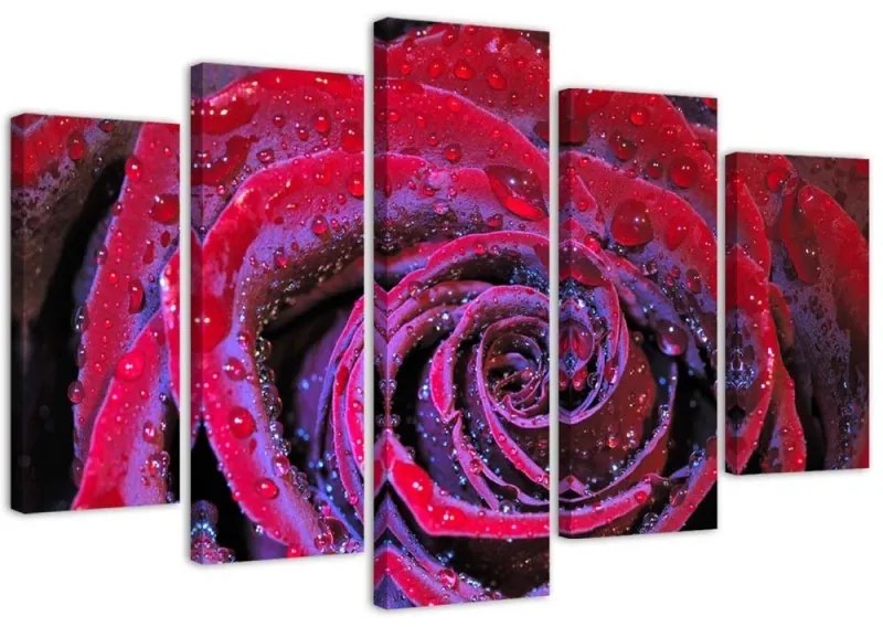 Quadro su tela 5 pannelli Fiore di rosa rosso  Dimensioni 100x70