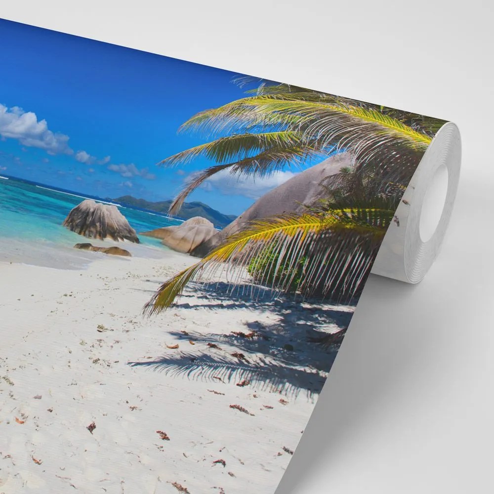 Carta da parati – Spiaggia Anse Source