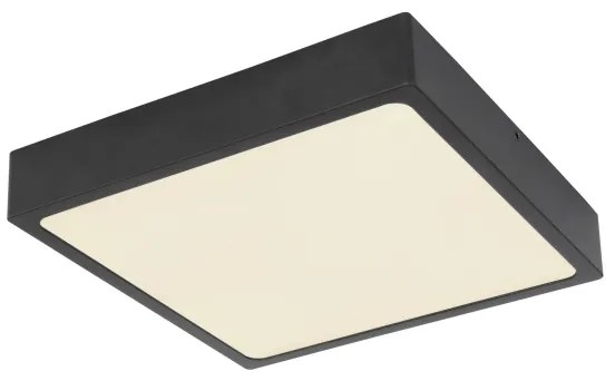 Globo 12369-22 - Plafoniera LED ECHO LED/22W/230V