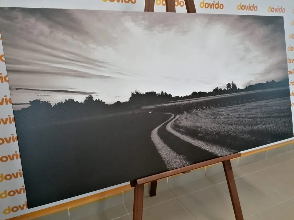 Stampa su tela – Tramonto sul paesaggio in bianco e nero