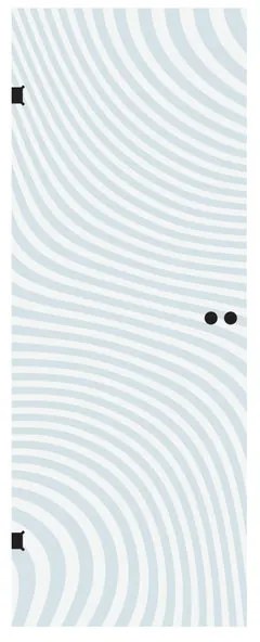 Anta in cristallo a battente ZebraL 80X H 210 cm, trasparente