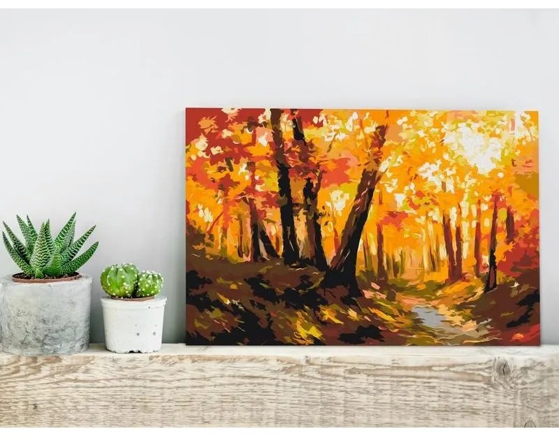 Quadro fai da te  Forest Track  Larghezza x Altezza Home decor 60x40