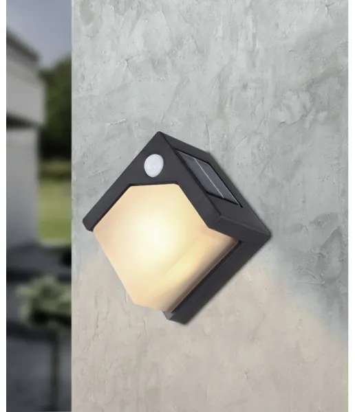 Globo 36480 - Luce solare a LED con sensore SOLAR LED/0,48W/3V IP44