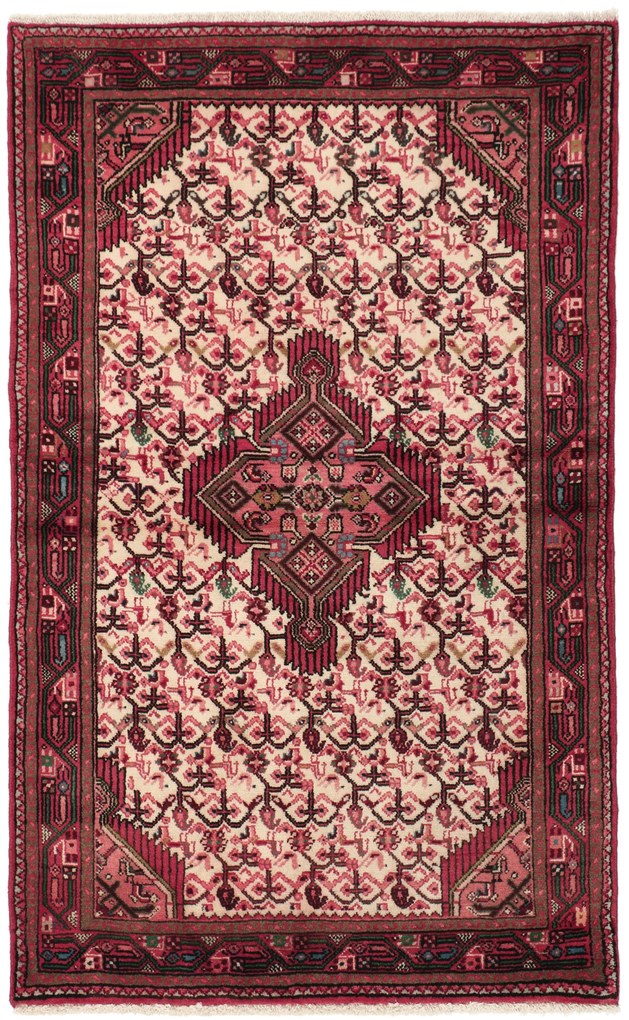 Hamedan Tappeto 100 x 170 (Iran) Annodato A Mano