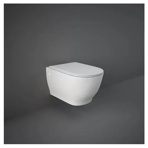 WC sospeso scarico parete Moon Rak Ceramics MOWC00002