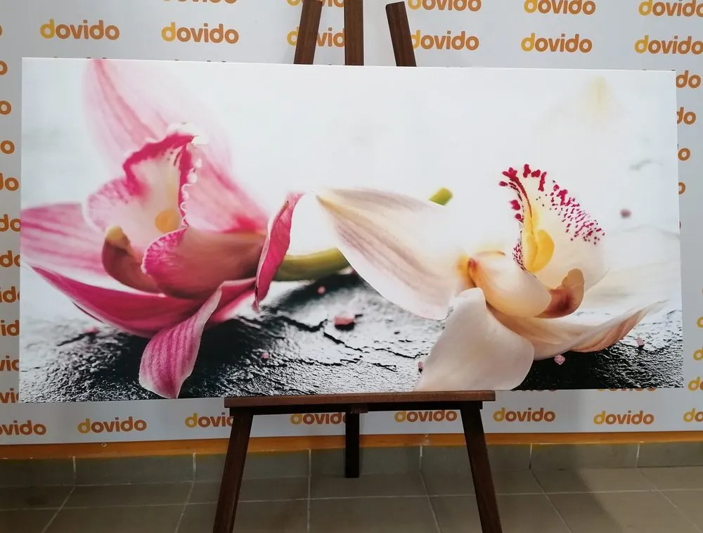 Quadro su tela – Fiori di orchidea