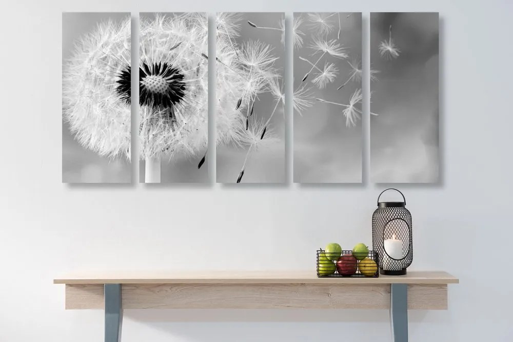 Quadri 5 pezzi – Dente di leone magico in bianco e nero