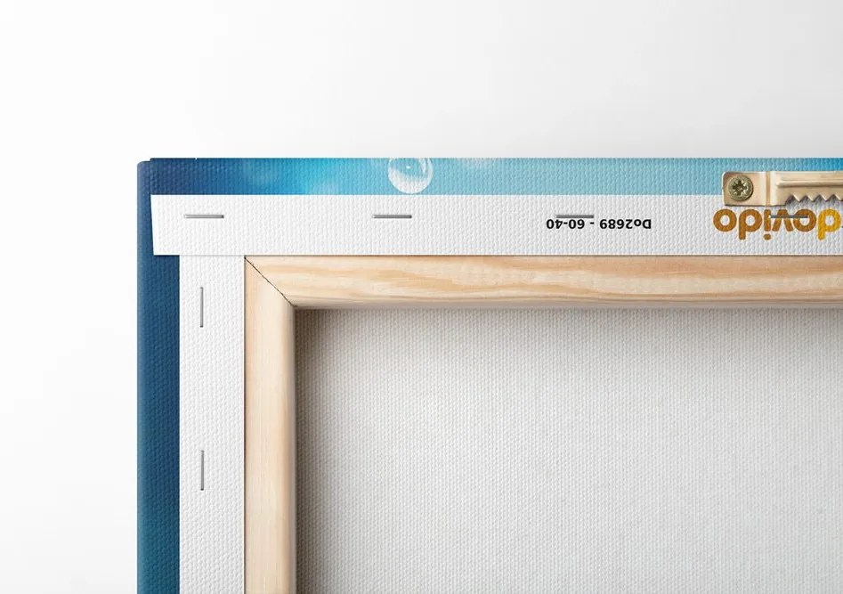 Quadro su tela – Pesce con cuffie