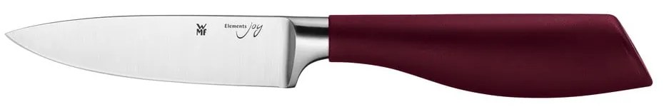 Set di coltelli Cromargan® in acciaio inox con ceppo portacoltelli Joy - WMF