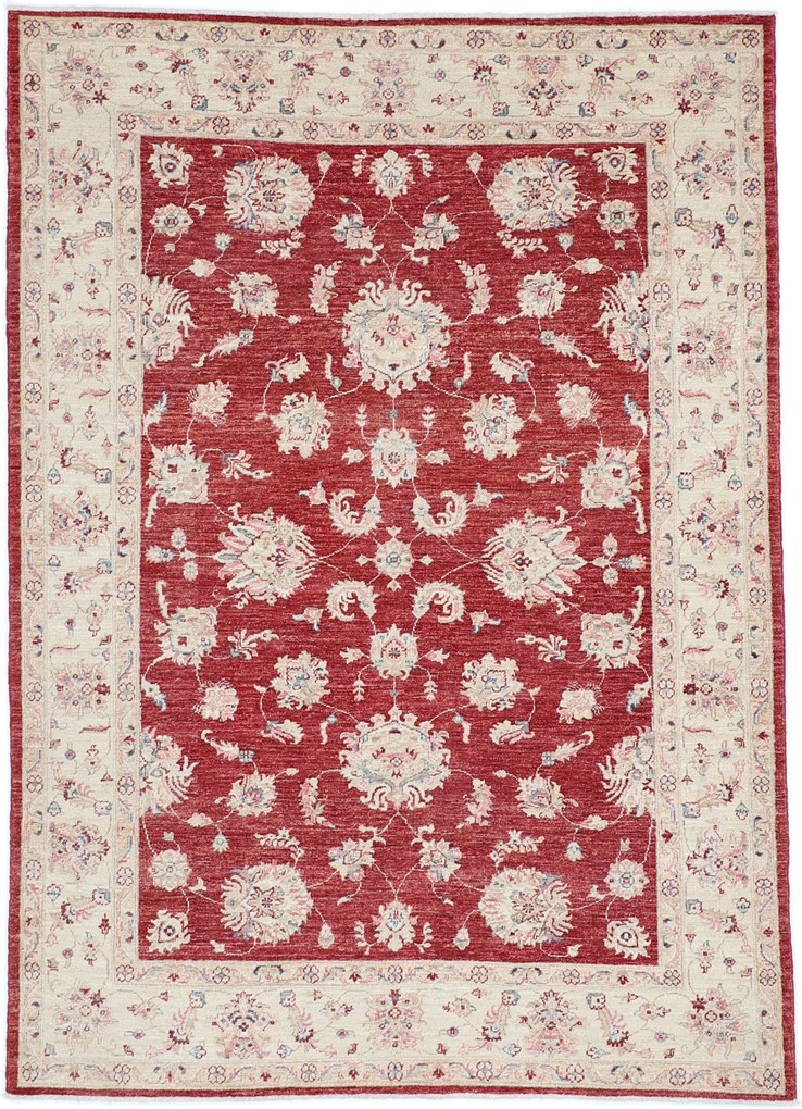 Tappeto orientale 170x240 (Afghanistan) Annodato A Mano