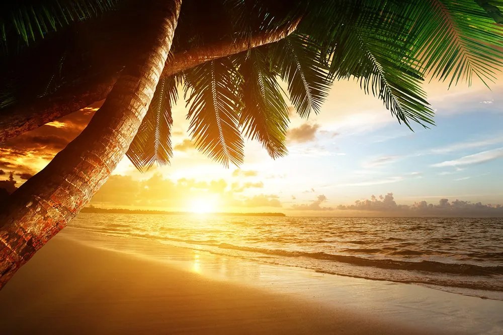 Carta da parati – Alba sulla spiaggia caraibica