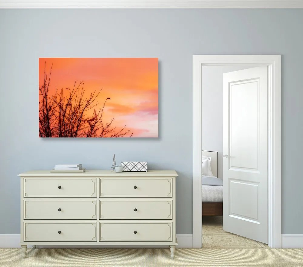 Quadro su tela – Cielo colorato