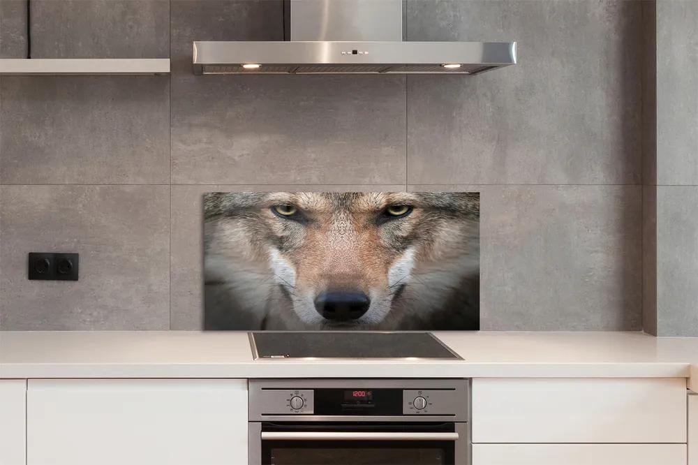 Pannello paraschizzi cucina Occhi di lupo 100x50 cm