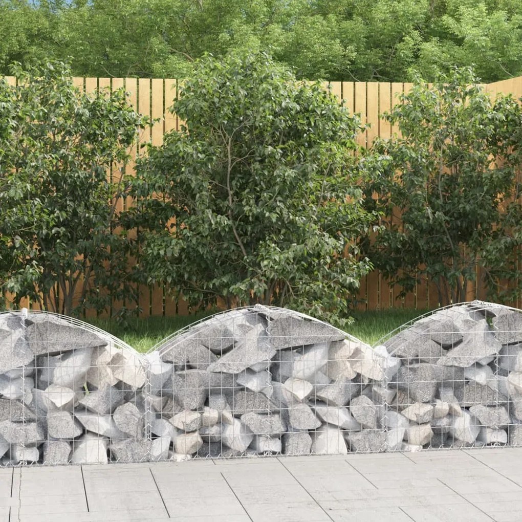Cesto Gabbione Ad Arco 100x30x40/60 Cm Ferro Zincato /