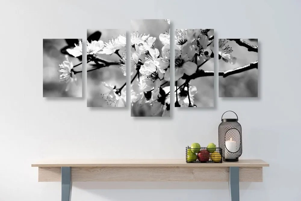 Quadri 5 pezzi – Fiore di ciliegio in bianco e nero