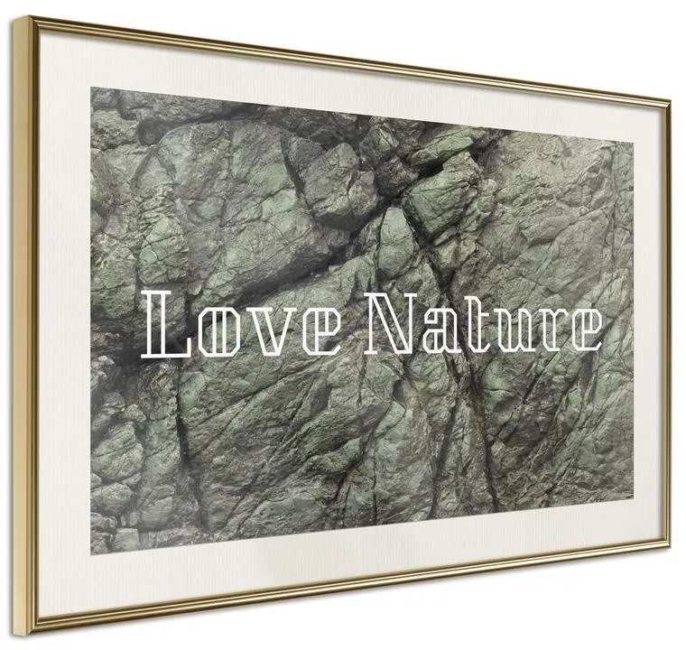 Poster  Nature  Cornice Quadri Cornice d'oro con passe-partout, Larghezza x Altezza Home decor 45x30