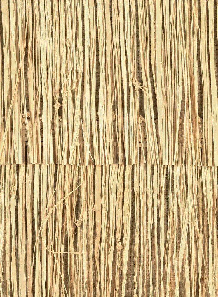 CMO Paris Carta da parati Raphia Frange - Blond