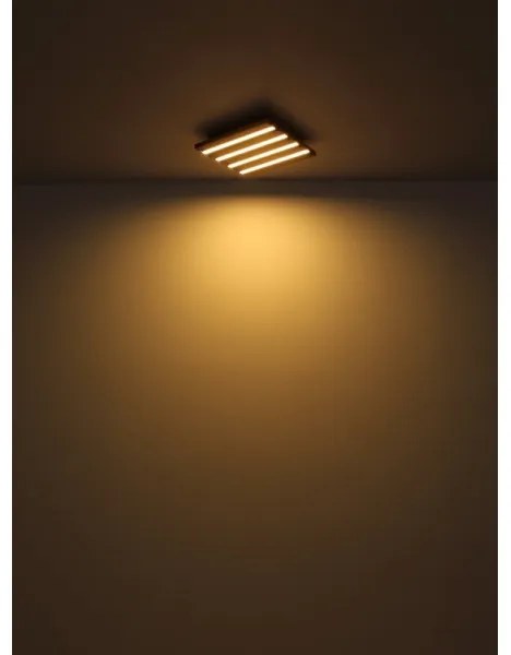 Globo 67347D2 - Plafoniera LED HAYDEN LED/30W/230V 3000K 45x45 cm