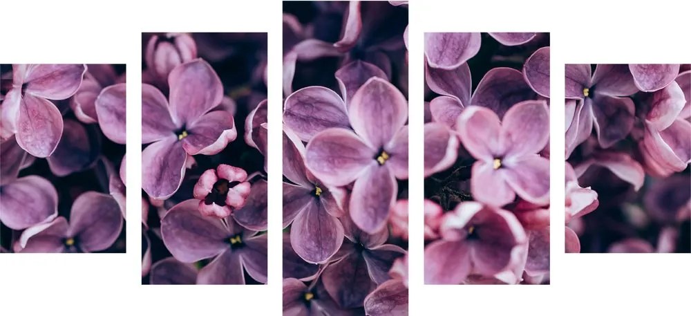 Quadri 5 pezzi – Fiori lilla