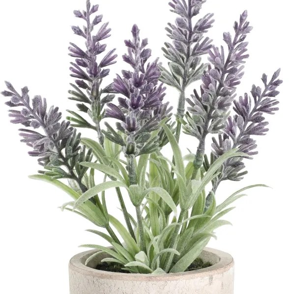 Eglo 428031 - Pianta artificiale CHITOSE 22x8 cm in vaso lavanda