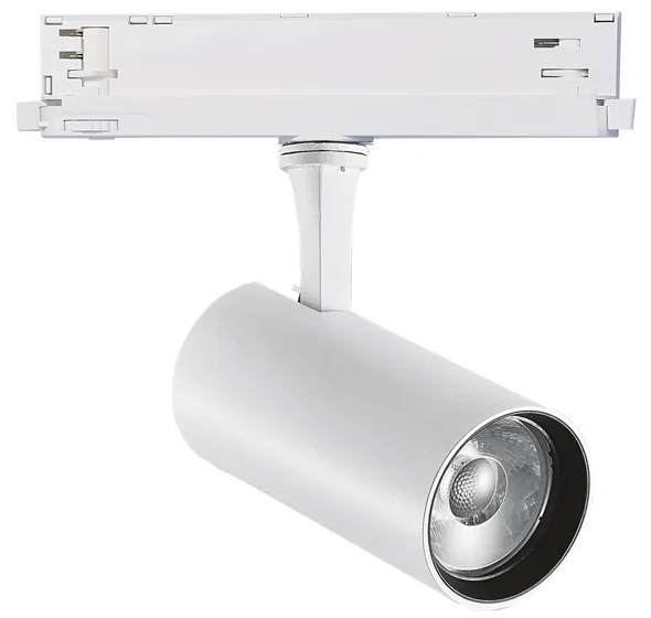 Proiettore Fox Dali Alluminio-Materie Plastiche Bianco Led 25W 3000K Cri90