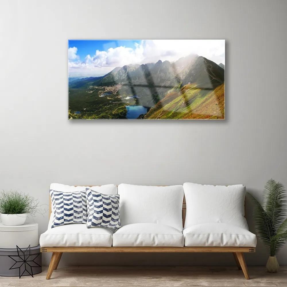 Quadro acrilico Paesaggio delle montagne del prato 100x50 cm