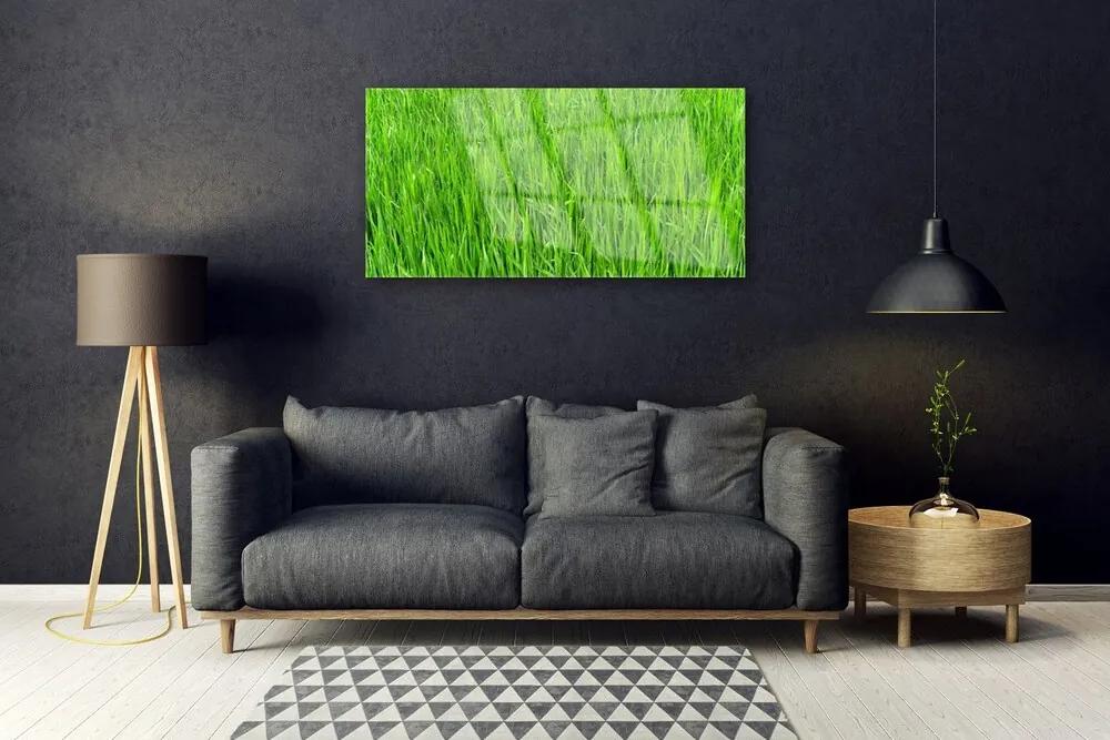 Quadro acrilico Tappeto erboso dell'erba verde della natura 100x50 cm