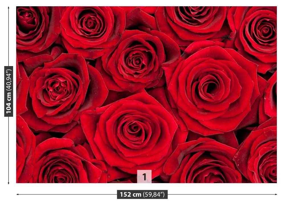 Carta da parati Rose rosse 104x70 cm