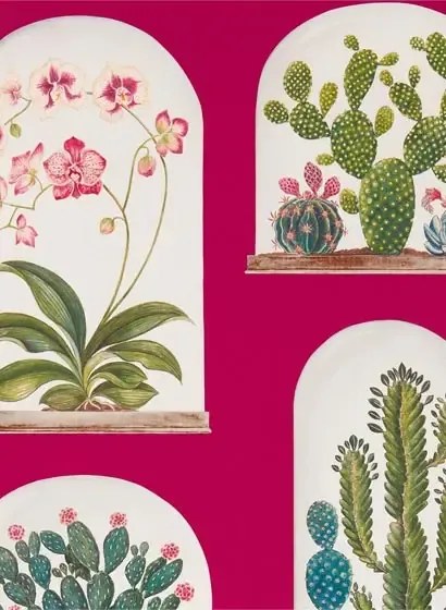Sanderson Carta da parati Terrariums - Rhodera/ Multi