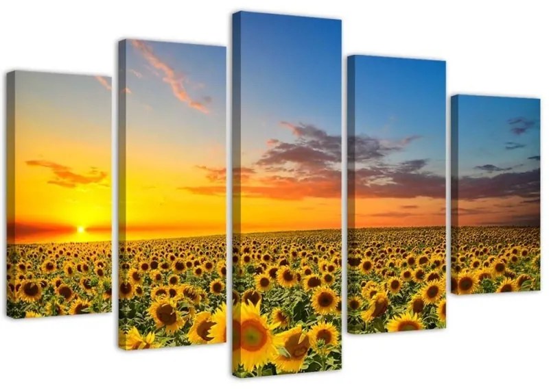 Quadri Quadro 5 pezzi Stampa su tela Girasoli al tramonto  Dimensioni 100x70