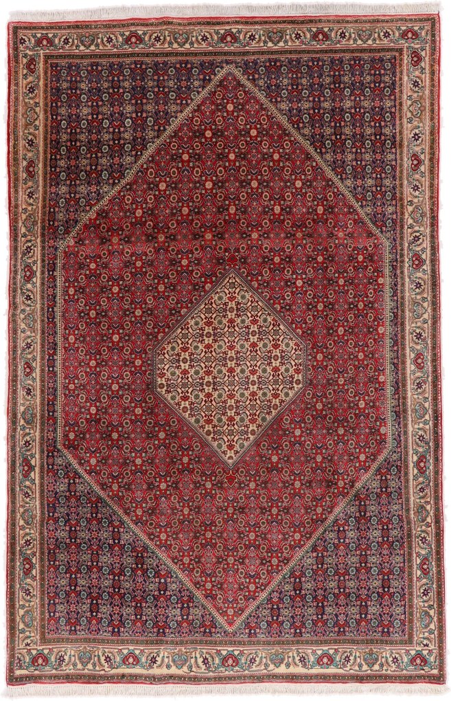 Bidjar Tappeto 210x330 (Iran) Annodato A Mano