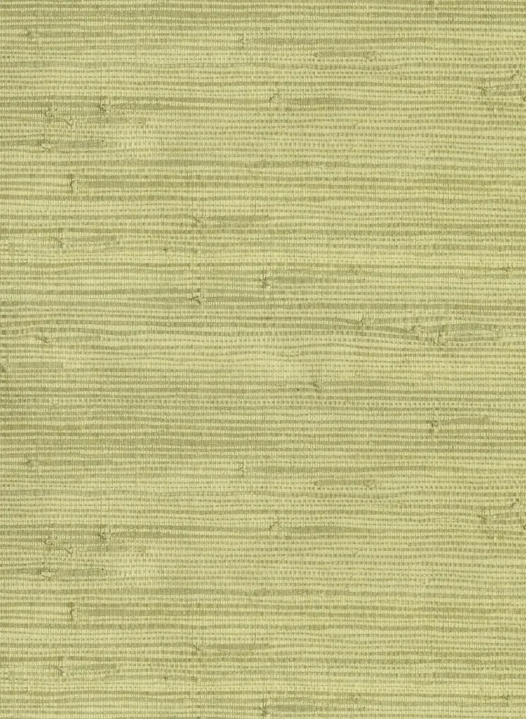 Eijffinger Carta da parati Natural 45 - 303502