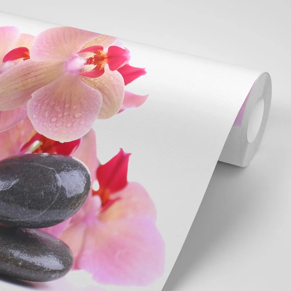 Carta da parati – Pietre e orchidea