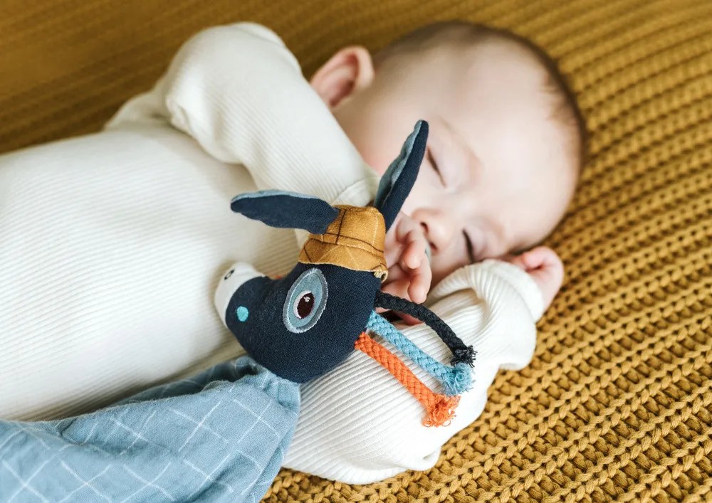 Lilliputiens - Peluche doudou - Asino Ignace