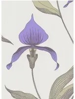 Orchid - Designtapete von Cole and Son - Grün/ Lila