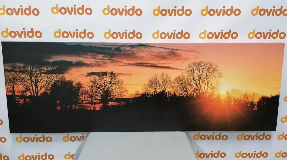 Quadro su tela – Splendido tramonto