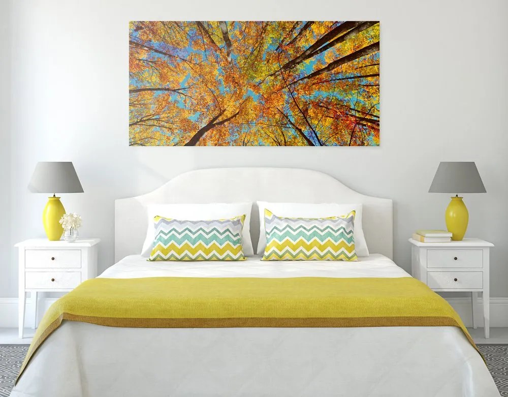 Quadro su tela – Corone autunnali degli alberi