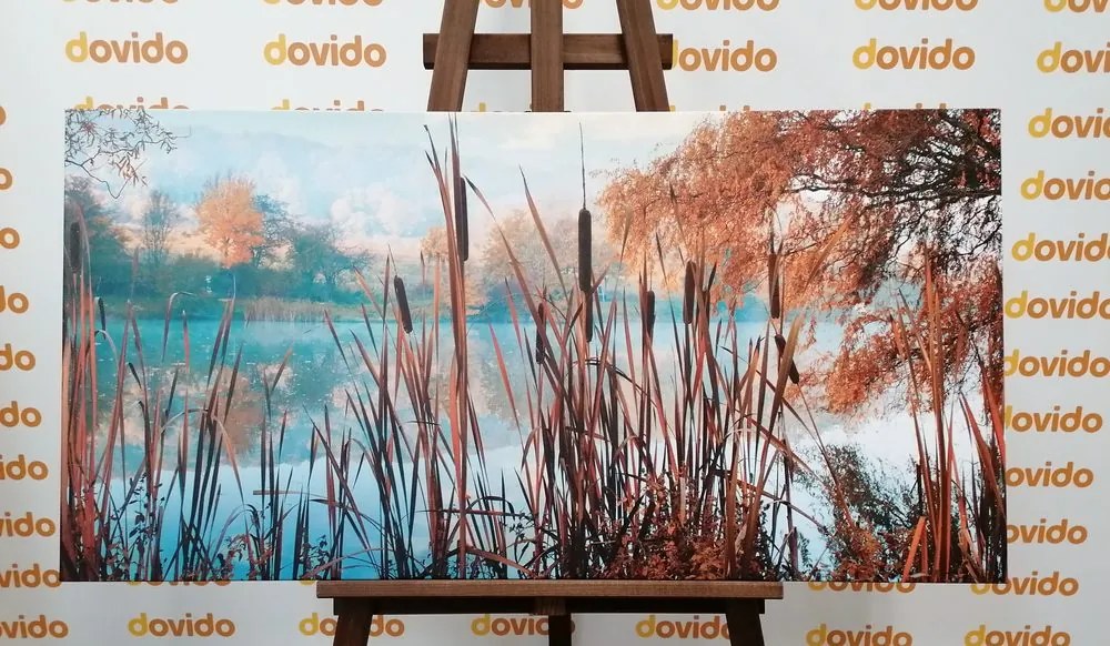 Quadro su tela – Fiume nel mezzo della natura autunnale