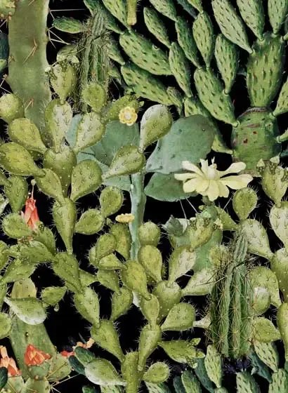 Mindthegap Carta da parati Opuntia - WP20165