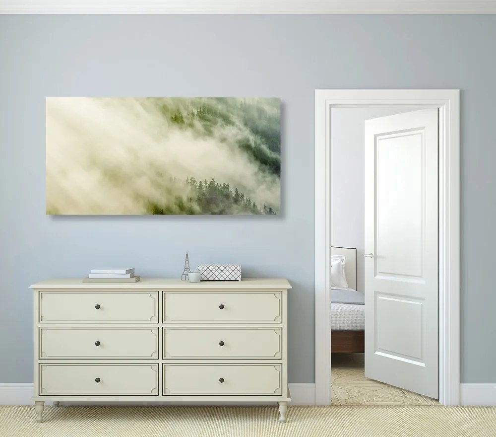 Quadro su tela – Foresta nebbiosa