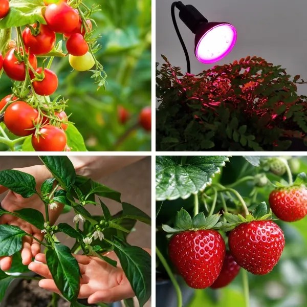 LED Lampadina per la crescita delle piante VITABLOOM E27/9W/230V 1200K nero - Brilagi