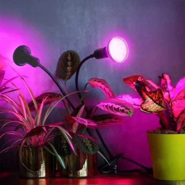 Lampada da tavolo flessibile con clip per piante PLANTY 2xE27/30W/230V nera