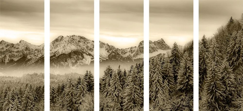 Quadri 5 pezzi – Montagne congelate in versione seppia