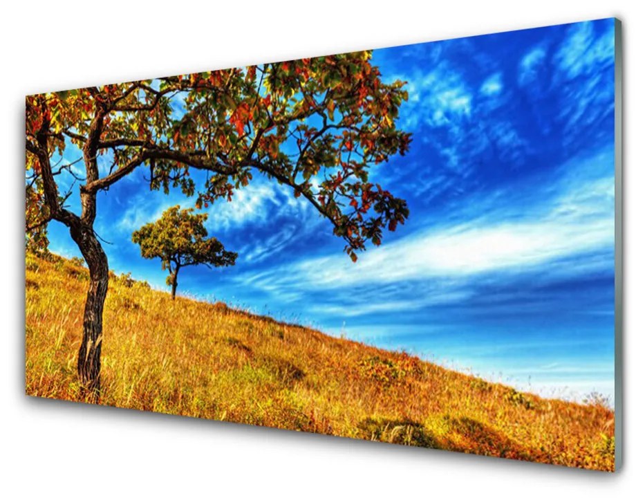 Quadro acrilico Prato, albero, natura, pianta 100x50 cm 2 appendini